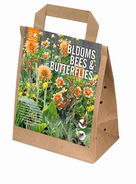 Blooms, Bees & Butterflies (Orange Mix)