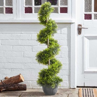 Cypress Topiary Twirl 120cm - image 1