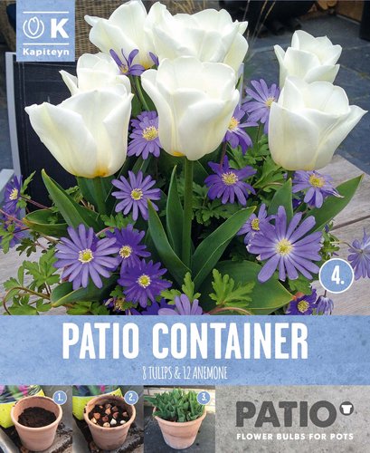Garden Container Pack Anemone Blue & Tulip White