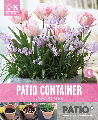 Garden Container Pack Tulip & Chinonodoxa