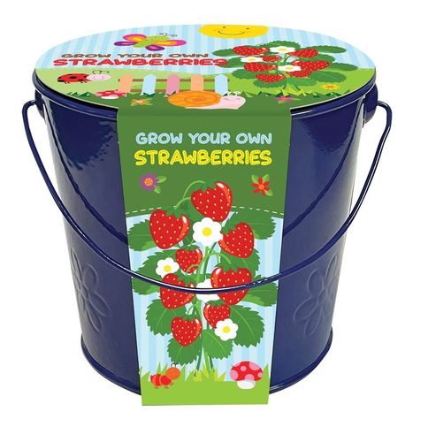 Grow Your Own Strawberries