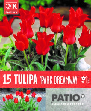 Patio Pack Tulip Park Dreamway