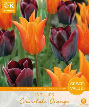 Tulip Chocolate Orange Promo Pack