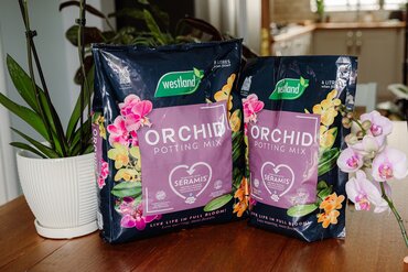 Westland Orchid Potting Mix 8L With Seramis - image 3