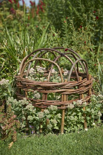 Willow Herbaceous Cloche - image 1