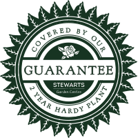 two year hardy plant guarantee dorset hampshire