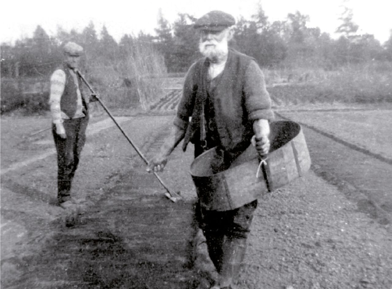 Primrose Festival Nursery Open Day Stewarts Garden Centre