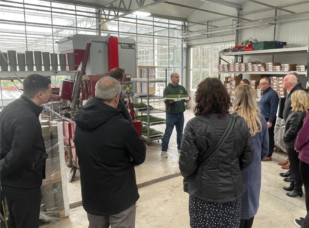 Primrose Festival Nursery Open Day Stewarts Garden Centre