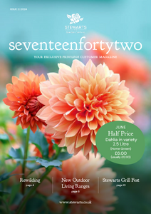 Issue 2, 2024