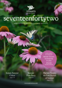 Issue 3, 2024