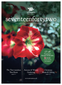 Issue 4, 2024