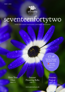 Issue 1, 2025