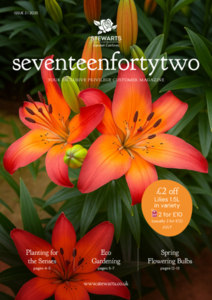 Issue3, 2025