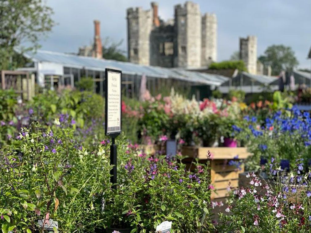 Stewarts Abbey Garden Centre
