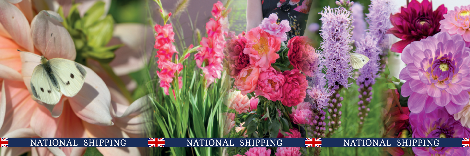Summer Flowering Bulbs Now in Stock!