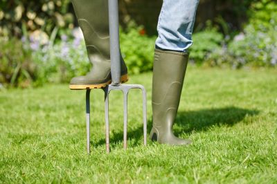 Autumn lawn care