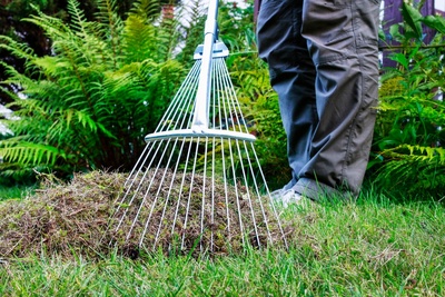 Autumn lawn care guide