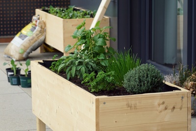 How to build a raised bed