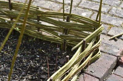How to weave your own wattle edging