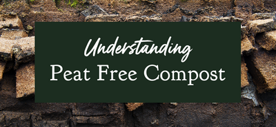 Understanding Peat Free Compost