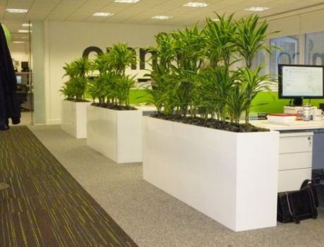 Sewarts interior landscaping barrier planting and planters for offices