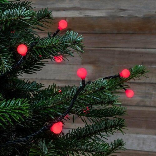 Red Berry Battery Lights (x100)