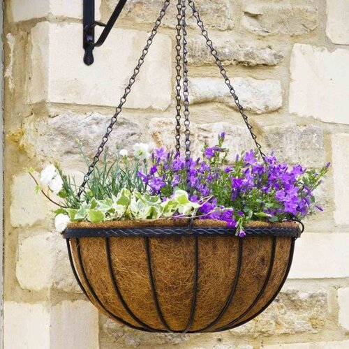 Saxon Hanging Basket 30cm 12" - image 2