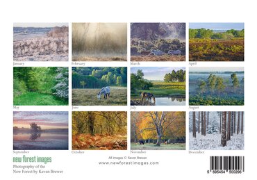 2027 New Forest Images Calendar - image 2