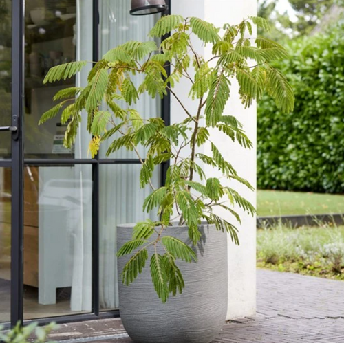 56cm Arava Planter Alpine Grey - image 2