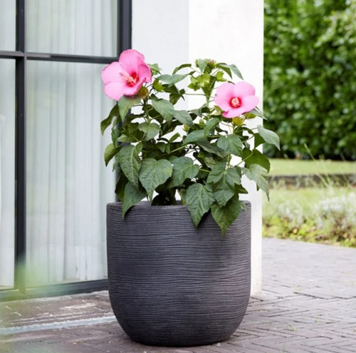 56cm Arava Planter MillStone Grey - image 2