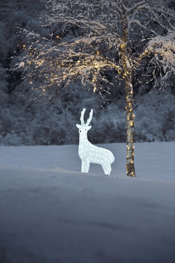 Acrylic Reindeer Light (Medium) - image 4