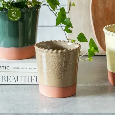 Adeline Beaded Edge Mocha Planter 10.5cm