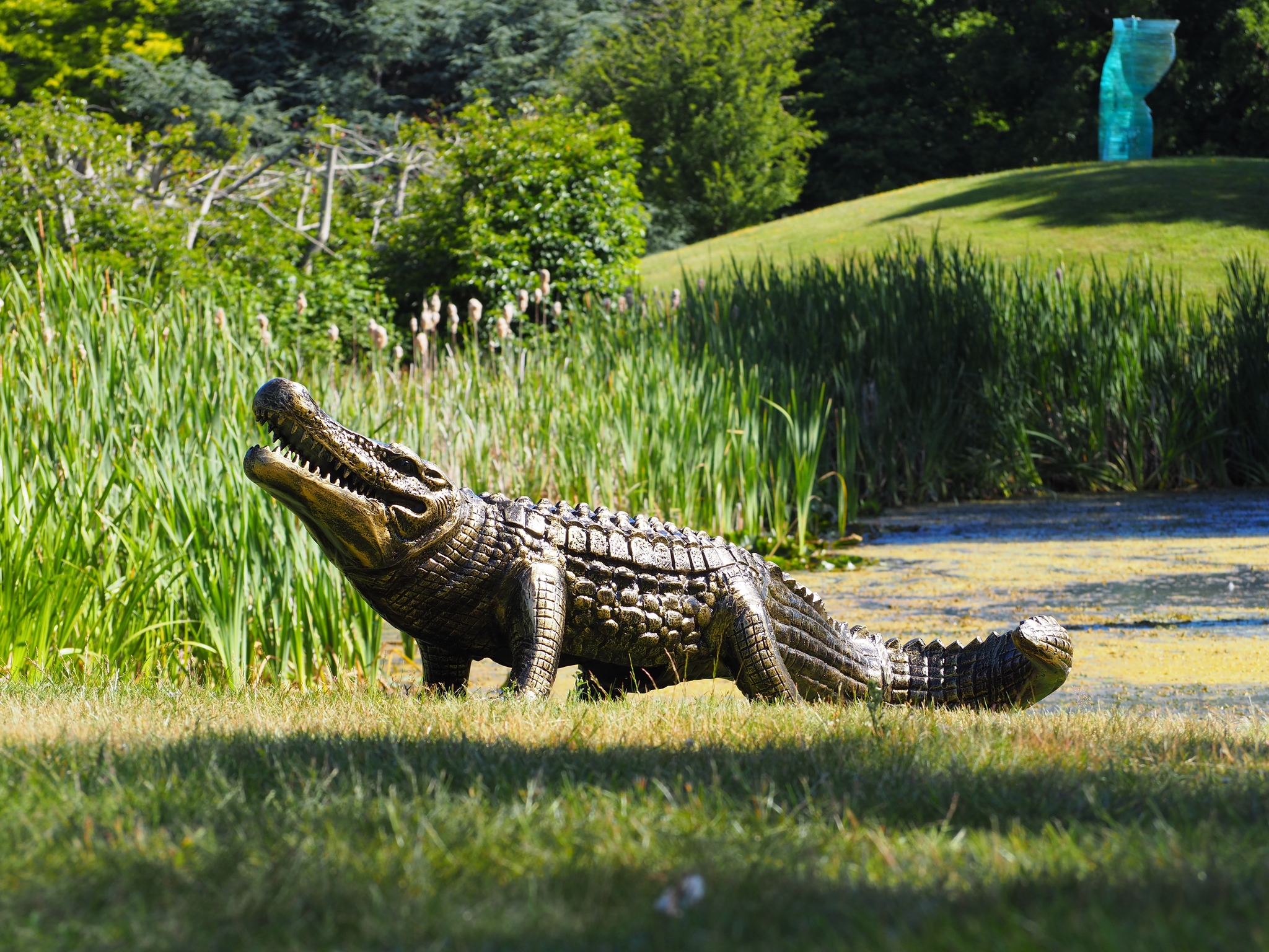 ロッド ALLIGATOR STANDING LIMITED 150-170 Alligator - Stewarts Garden Centre