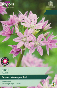 Allium Eros