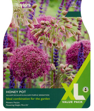 Allium Honey Pot