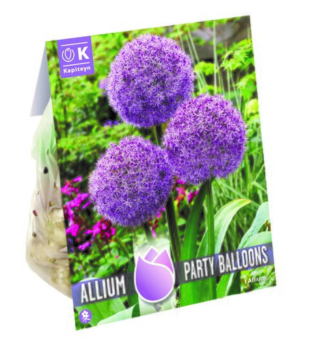 Allium Party Balloons