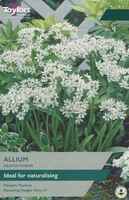 Alliums