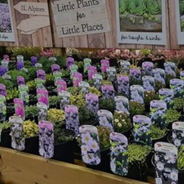 Alpine in Variety 1 Litre