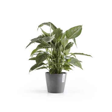 Amsterdam Eco Pot Light Grey 20cm - image 2