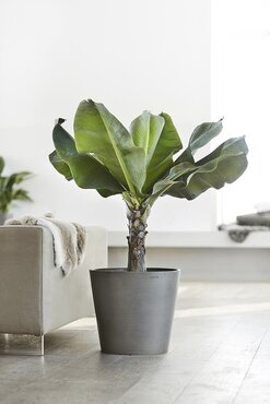 Amsterdam Eco Pot Light Grey 40cm - image 2