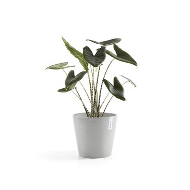 Amsterdam Eco Pot White Grey 30cm - image 3