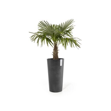 Amsterdam High Eco Pot Black 32cm - image 2