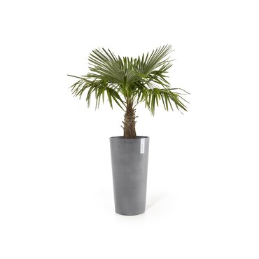 Amsterdam High Eco Pot Grey 32cm - image 2