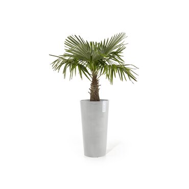 Amsterdam Mid High Eco Pot White Grey 30cm - image 2