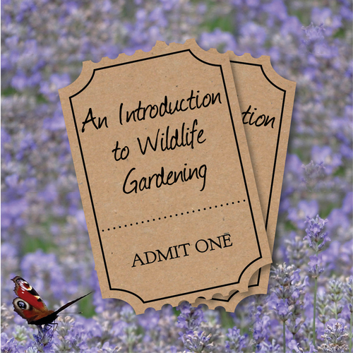 Christchurch Talk: An Introduction to Wildlife Gardening