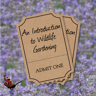 Christchurch Talk: An Introduction to Wildlife Gardening