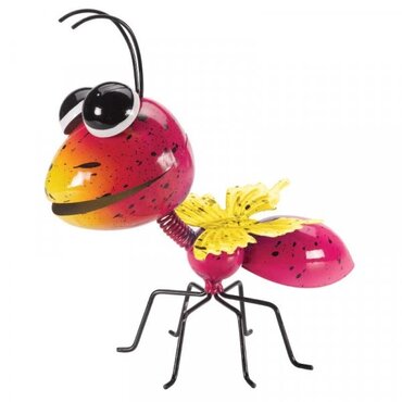 Ant Jazee - image 2