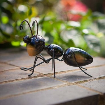 Ants Large - image 2