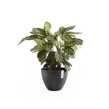 Antwerp Eco Pot Black 30cm - image 2