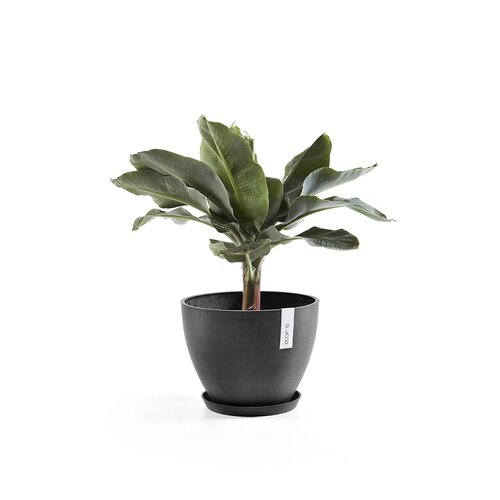 Antwerp Eco Pot Black 50cm - image 2